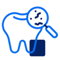 Dental Care