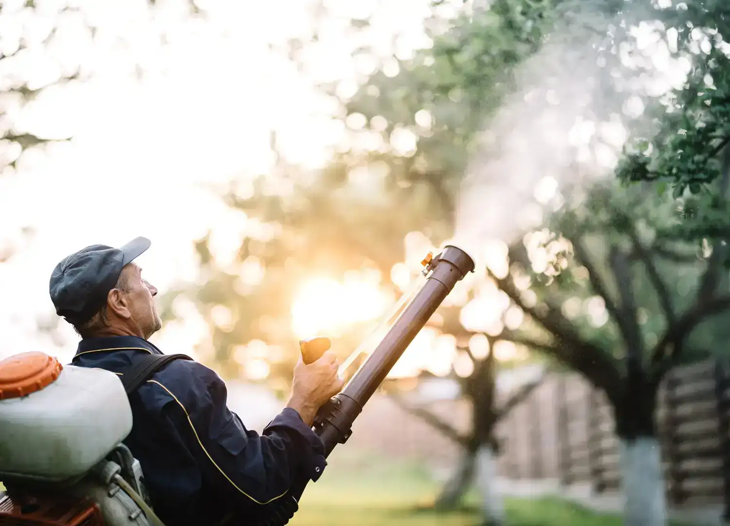 Home Decor and Garden